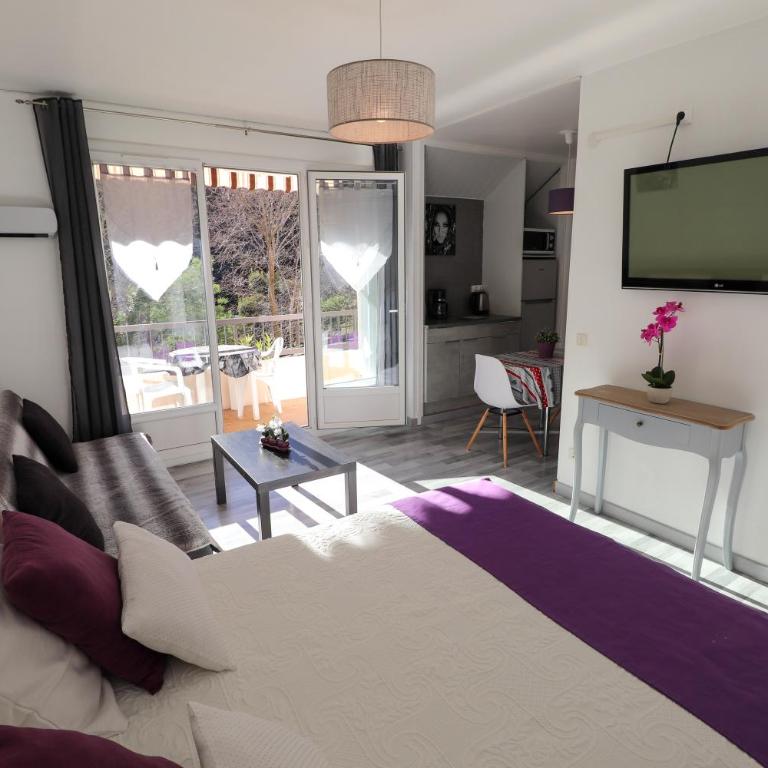 Locations appartements standing Amélie-les-bains - Appartement 1 Chambre avec Vue - 6