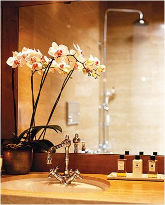 Chalet and Penthouse Zen, two Properties, 100m from Ski Lift and Piste - Superior Chalet - 11