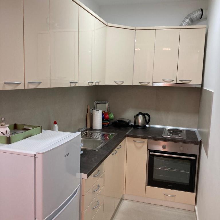 Apartman Tara 2020 - Apartman sa 1 Spavaćom Sobom - 14