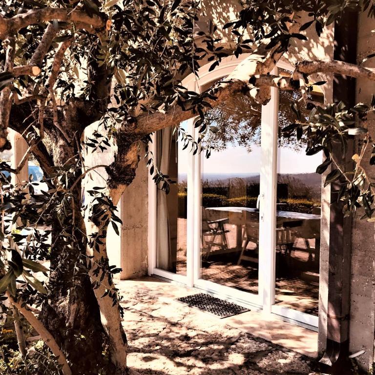 Valpolicella Hills - Appartamento - 25
