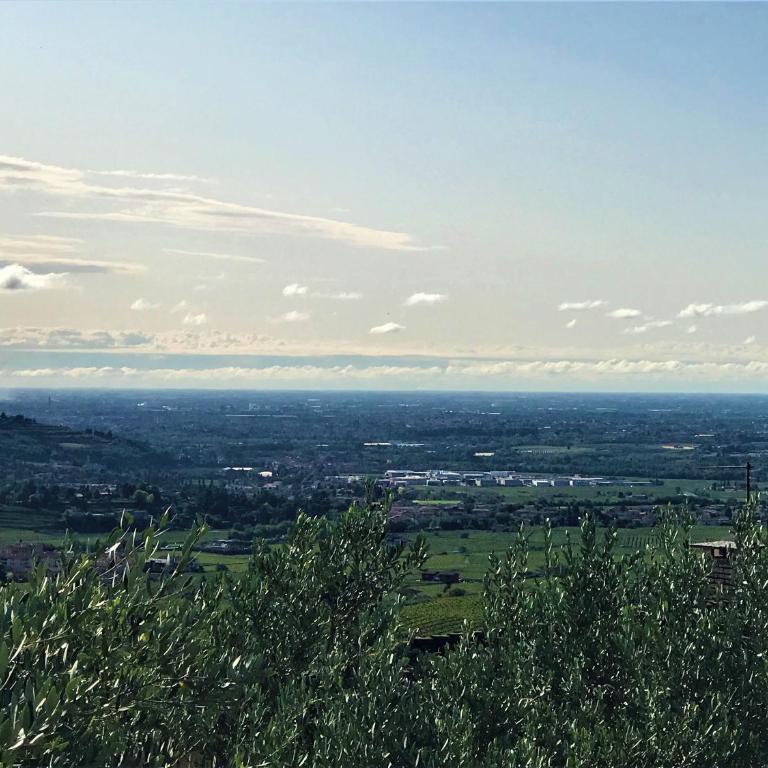 Valpolicella Hills - Appartamento - 7