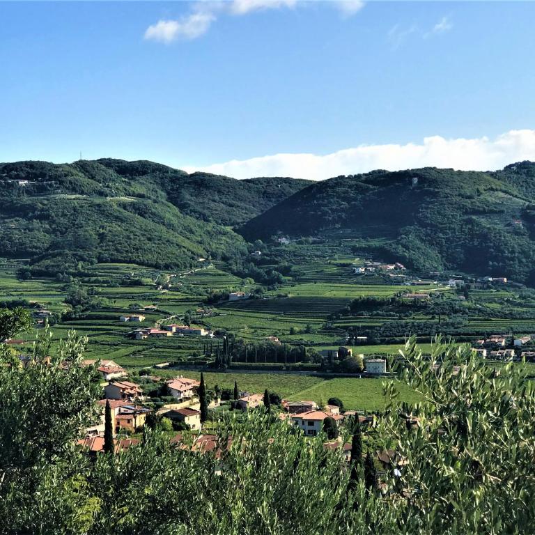 Valpolicella Hills - Appartamento - 8