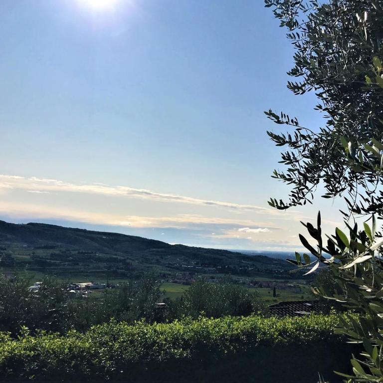 Valpolicella Hills - Appartamento - 9