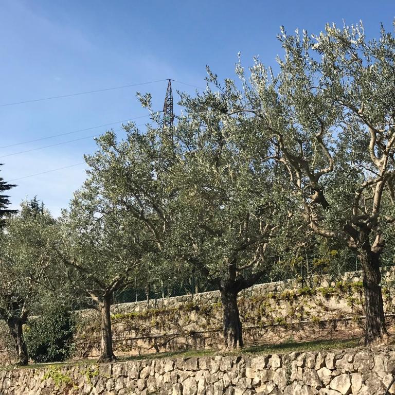 Valpolicella Hills - Appartamento - 11