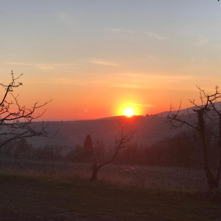 Valpolicella Hills - Appartamento - 12