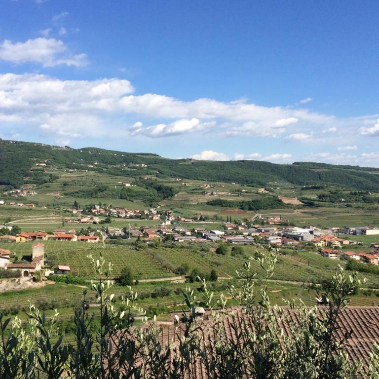 Valpolicella Hills - Appartamento - 15