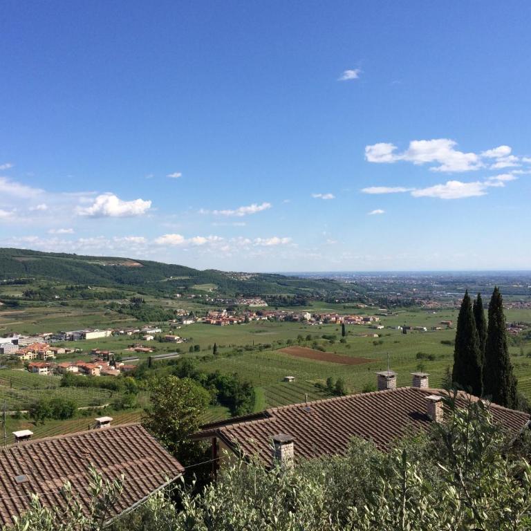 Valpolicella Hills - Appartamento - 16