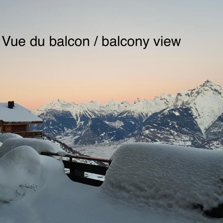 Studios Bellevue 1 et 2, ski lift 150m - Monolocale con Vista Montagna - 9