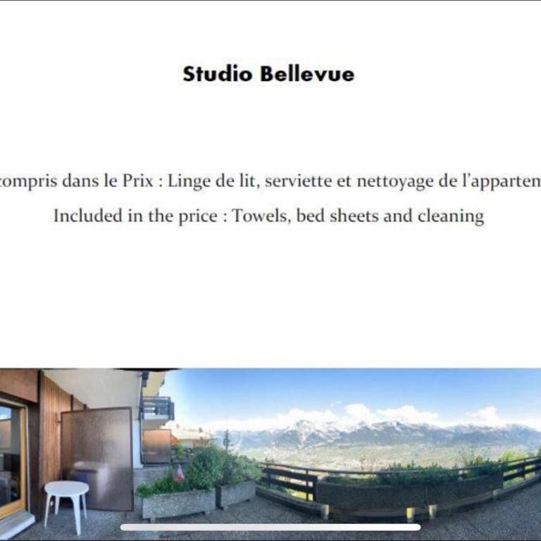 Studios Bellevue 1 et 2, ski lift 150m - Monolocale con Vista Montagna - 14