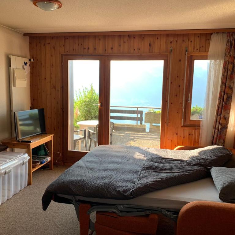 Studios Bellevue 1 et 2, ski lift 150m - Monolocale Familiare - 16
