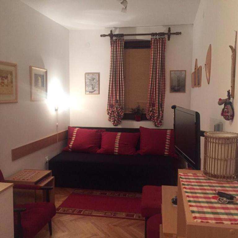 Vila Boris, Apartman Aleksej - Kopaonik - One-Bedroom Apartment - 21