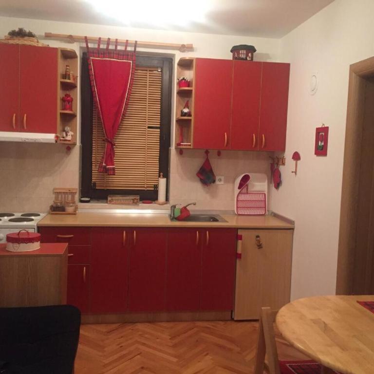 Vila Boris, Apartman Aleksej - Kopaonik - One-Bedroom Apartment - 25