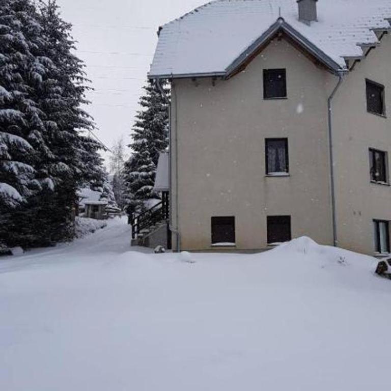 Vila Boris, Apartman Aleksej - Kopaonik - One-Bedroom Apartment - 27