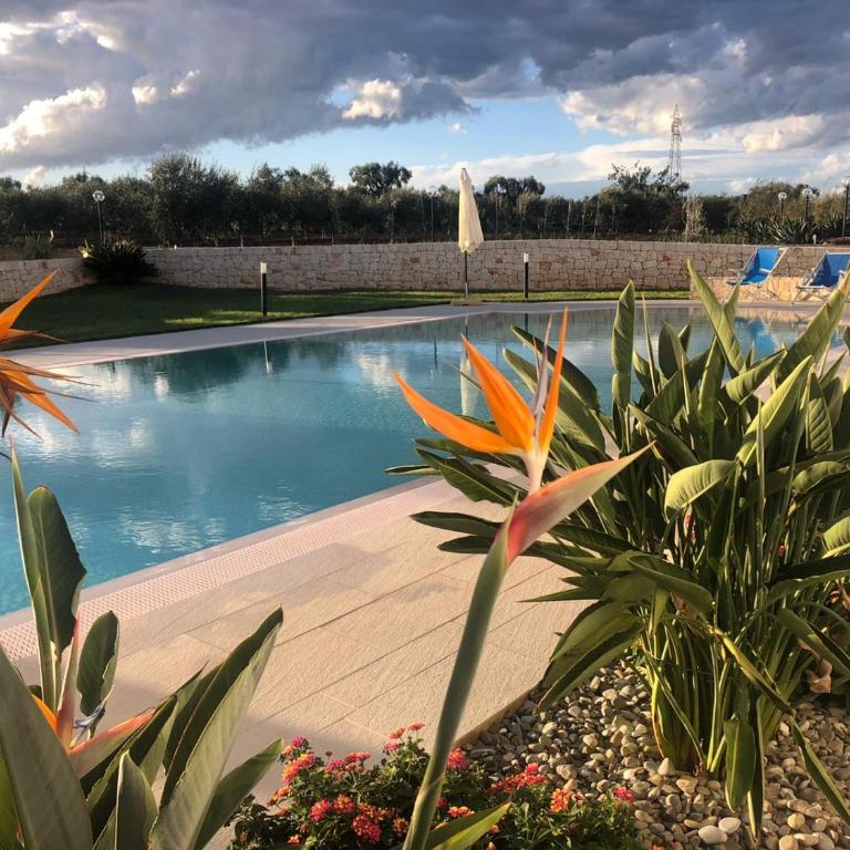 I Trulli di Gina Appartamento 4 persone - Appartamento - 4