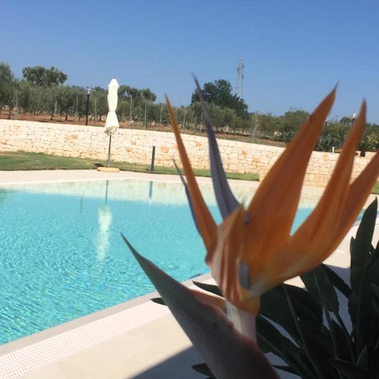 I Trulli di Gina Appartamento 4 persone - Appartamento - 36