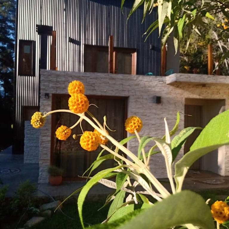 Complejo EL PAÑIL - Three-Bedroom Townhouse - 32