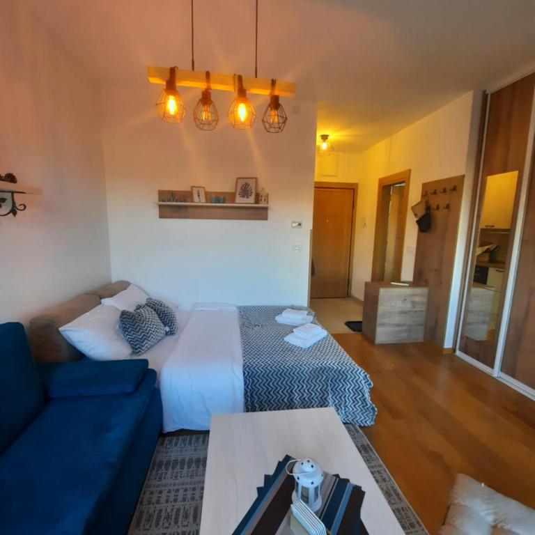 Studio apartman Paun Vila Elsa I Zlatibor - Studio Apartment - 4