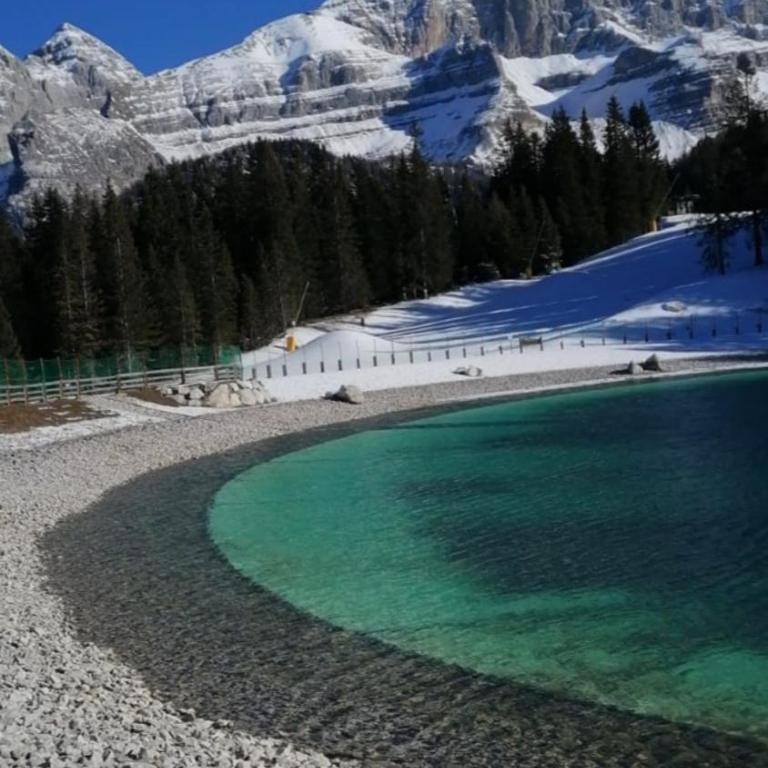 Chalet Golf Campiglio / LuxApt / fronte piste-impianti-golf - Appartamento con Vista Montagna - 27