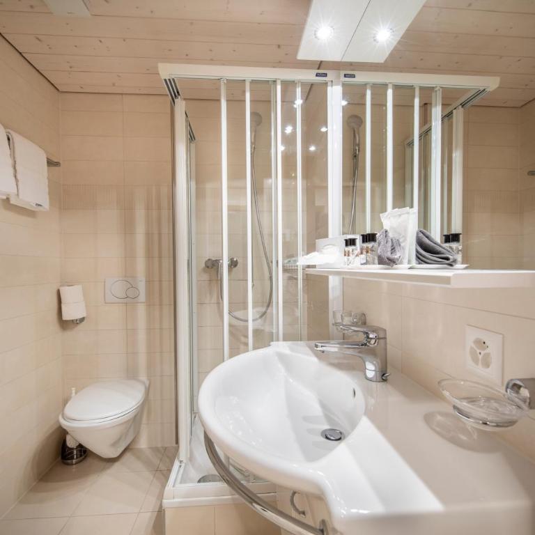 Hotel Kreuz & Post Grindelwald - Hotelapartment - 8
