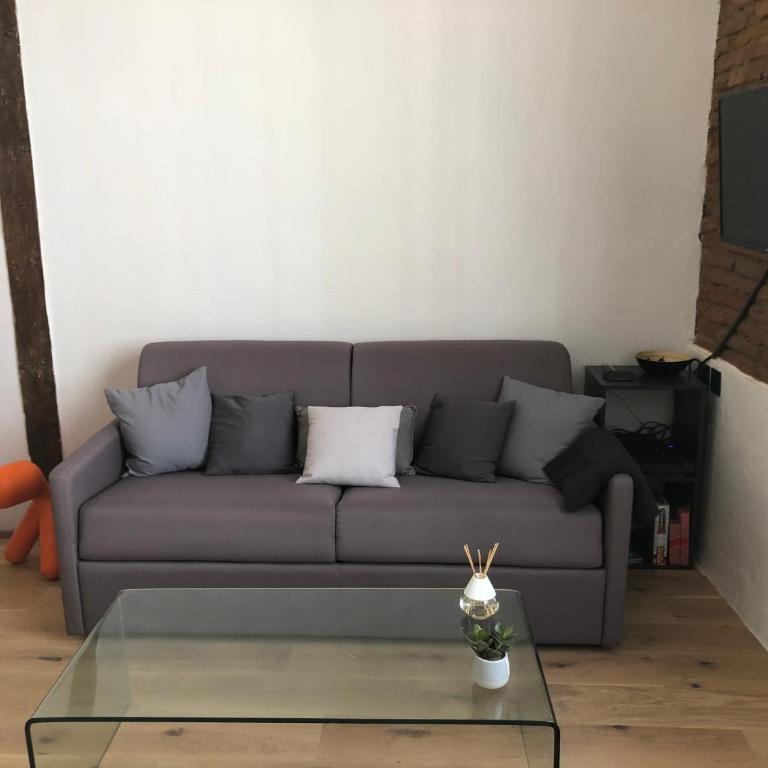 Charmant studio de 20m2 en hypercentre de Toulouse - Appartamento con 1 Camera da Letto - 5