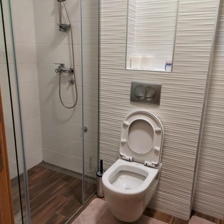 Apartman Virić - Apartman sa 1 Spavaćom Sobom - 9