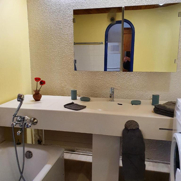 les 3 marmottes - Les Arolles - Appartement 1 Chambre - 4