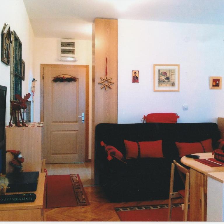Vila Boris, Apartman Aleksej - Kopaonik - One-Bedroom Apartment - 17