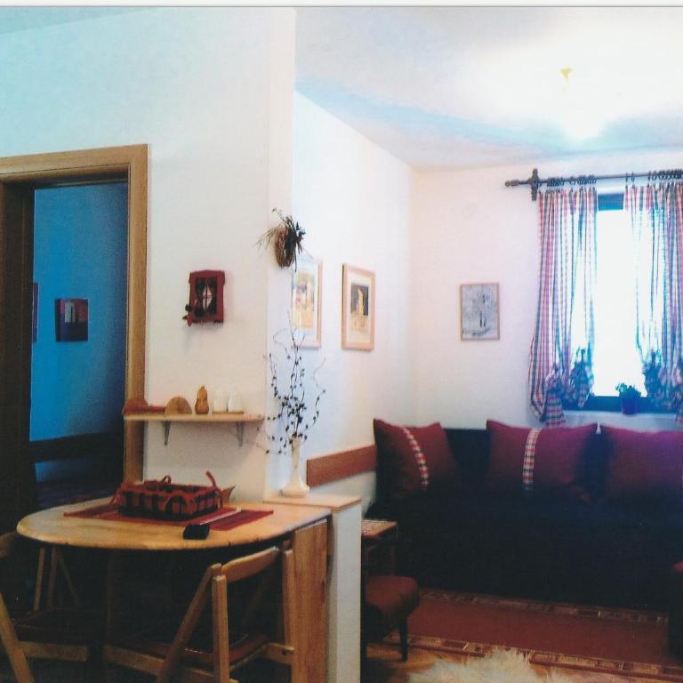Vila Boris, Apartman Aleksej - Kopaonik - One-Bedroom Apartment - 22