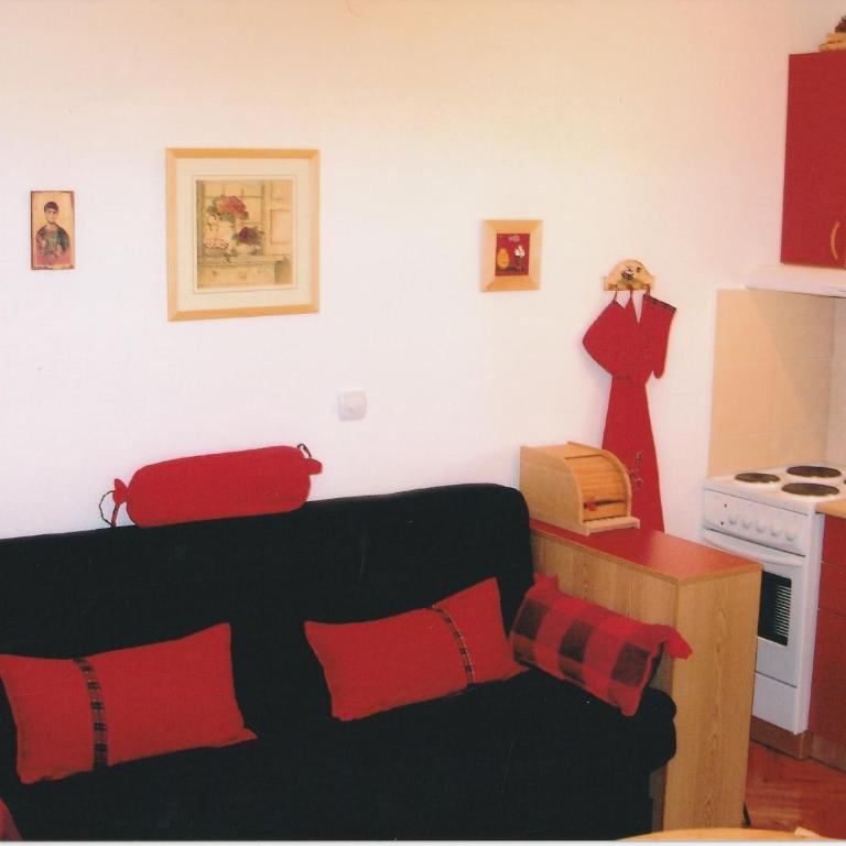 Vila Boris, Apartman Aleksej - Kopaonik - One-Bedroom Apartment - 24