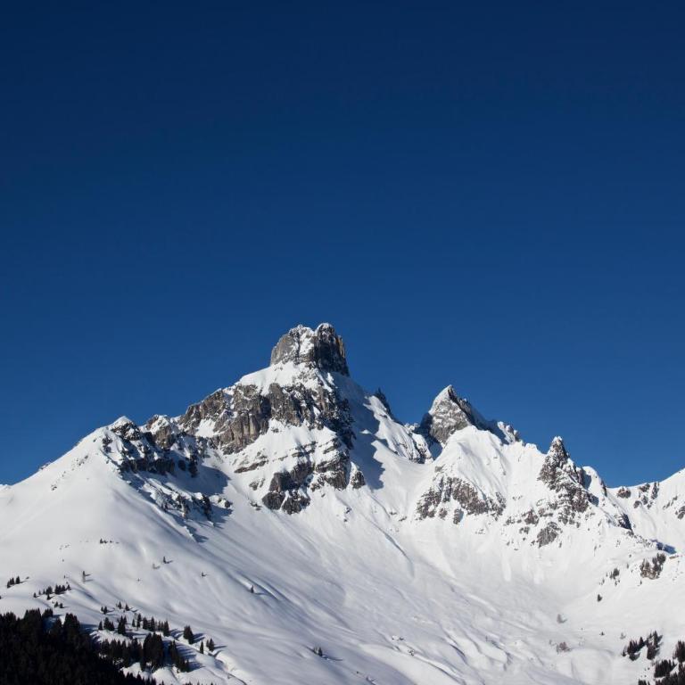 Haus Kleinberg - Apartamento de 4 dormitorios con balcón - 4