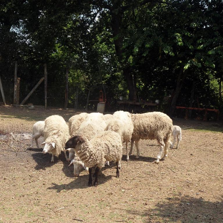 Casale Le Capanne - Villa su 2 Piani con 5 Camere da Letto - 48