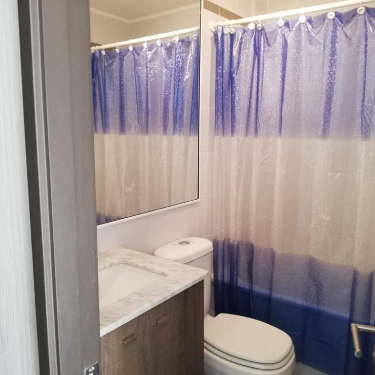 Condominio Costa Pucon - Deluxe Apartment - 12