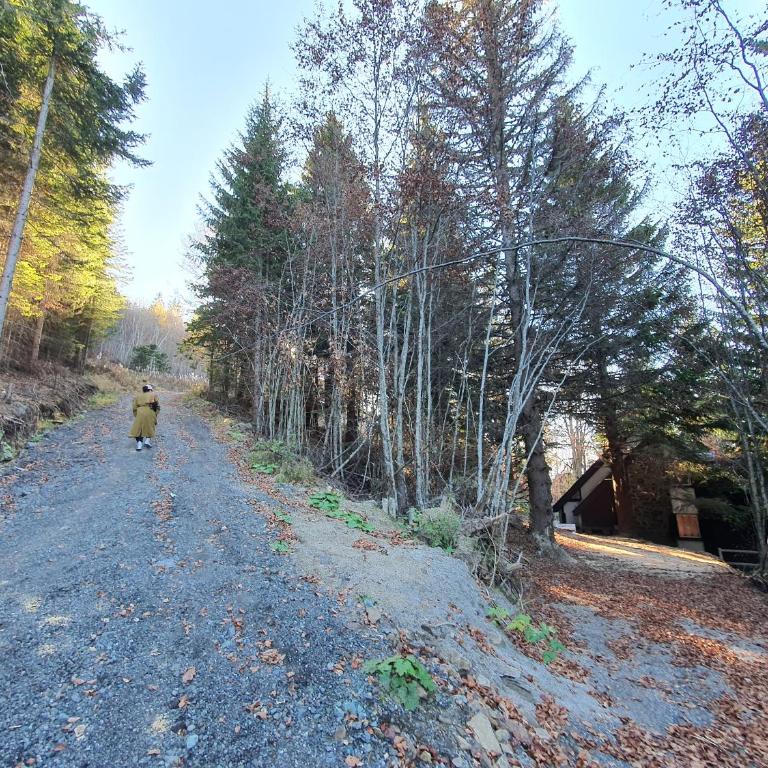 VILA PAVLOVIC - Vacation Home - 7