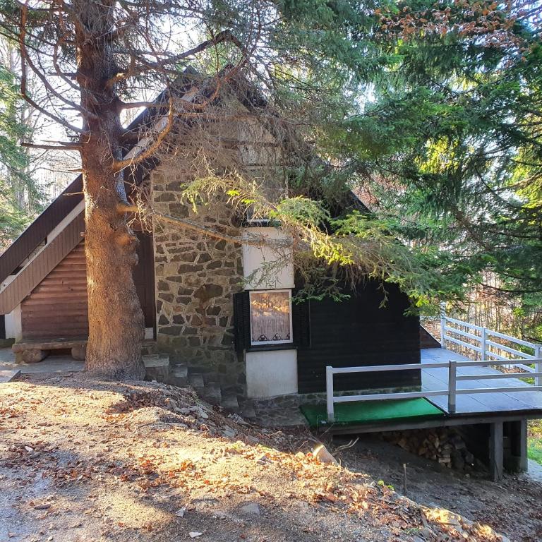 VILA PAVLOVIC - Vacation Home - 2