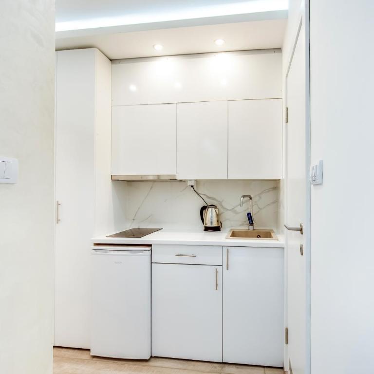Luxury Boutique City Center Apartments - Standardni Apartman - 14
