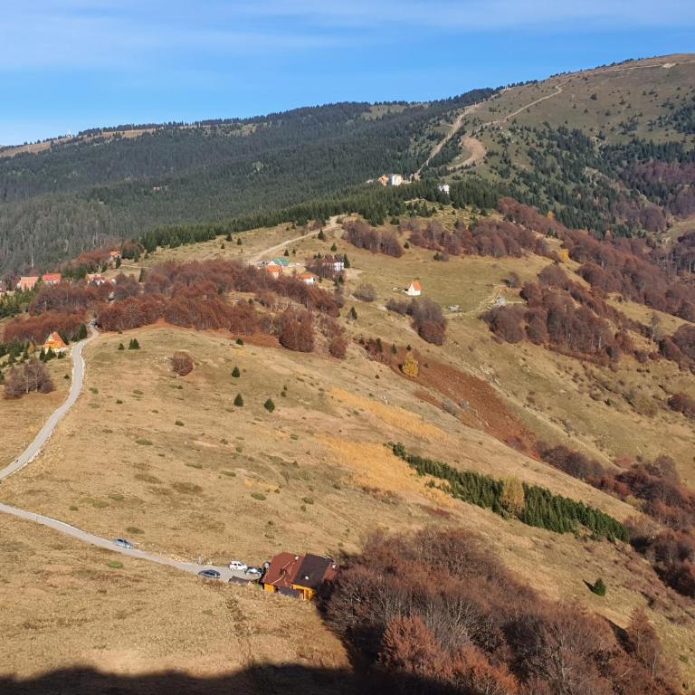 Vikendica Vila Despotovic - Villa - 83