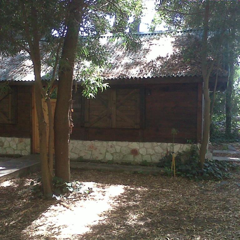 Complejo Cabaña casas paraíso familiar - Casa de 2 dormitorios - 11