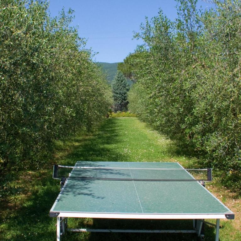 Holiday home in Cortona - Casa Vacanze con 2 Camere da Letto - 9