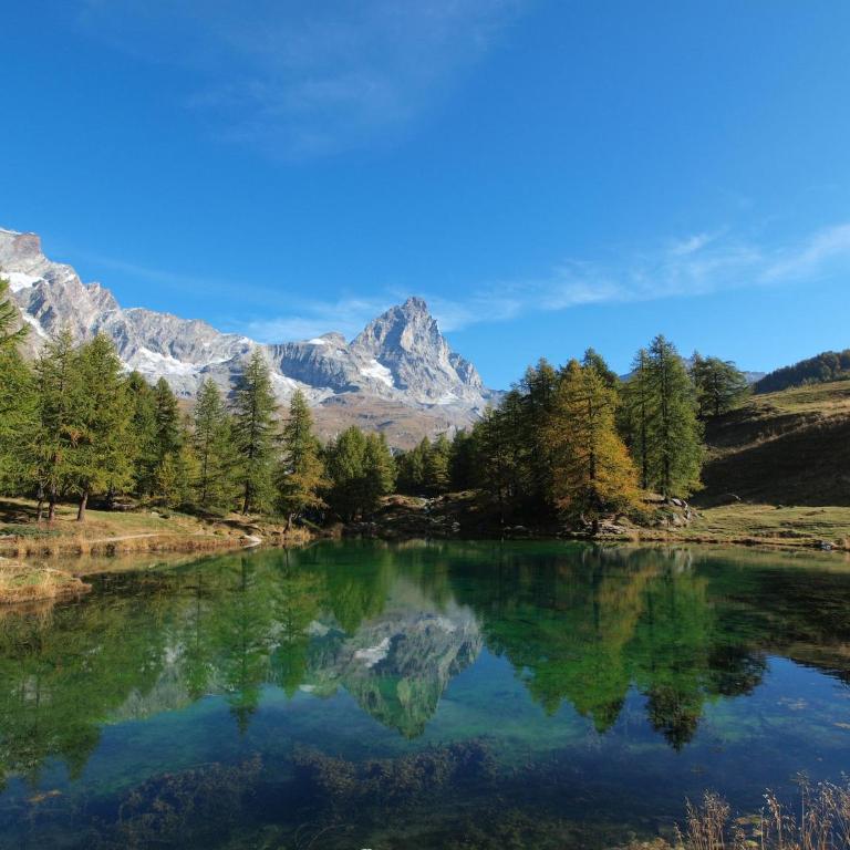 Apartment in Aosta Valley near Ski Lift - Appartamento con 1 Camera da Letto - 14