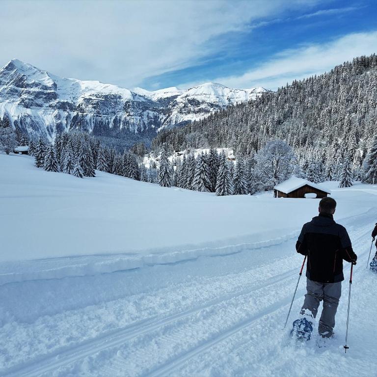 BelleVue centre, wifi, mountain view - Appartamento con Vista Montagna - 32