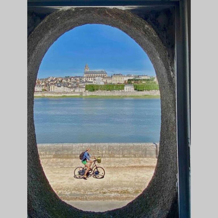 Elégance Art Déco en bord de Loire - Apartment mit 1 Schlafzimmer - 8