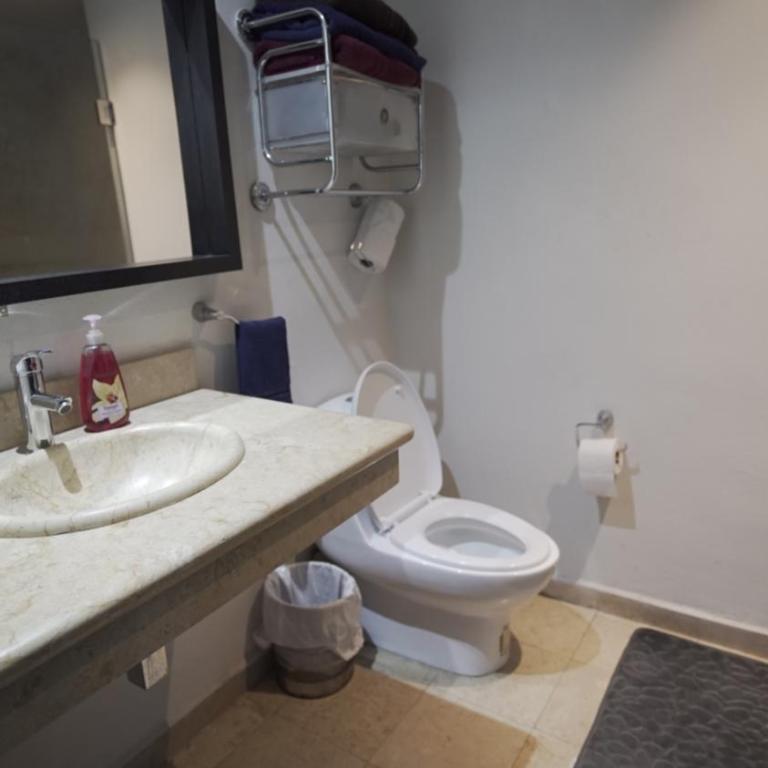 One Bedroom Apartment Del Valle - Apartamento de 1 dormitorio - 3