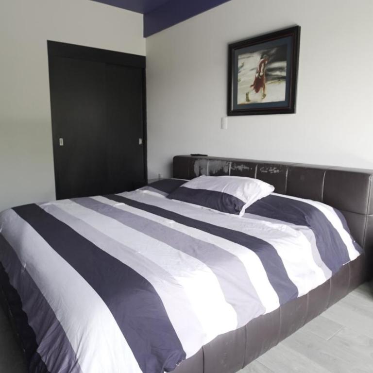 One Bedroom Apartment Del Valle - Apartamento de 1 dormitorio - 7