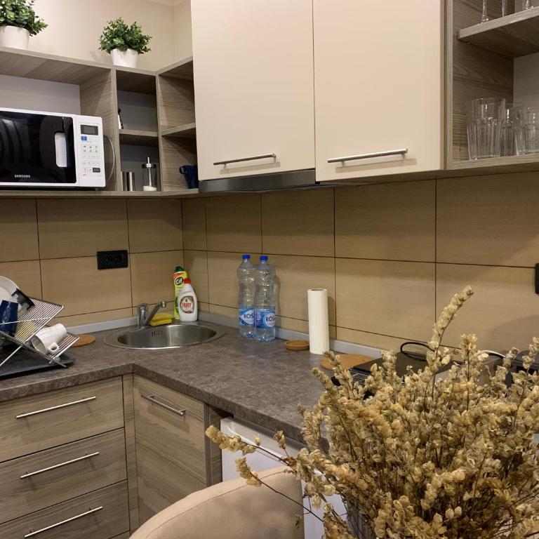 Milmari Mountain view - I11 - One-Bedroom Apartment - 10
