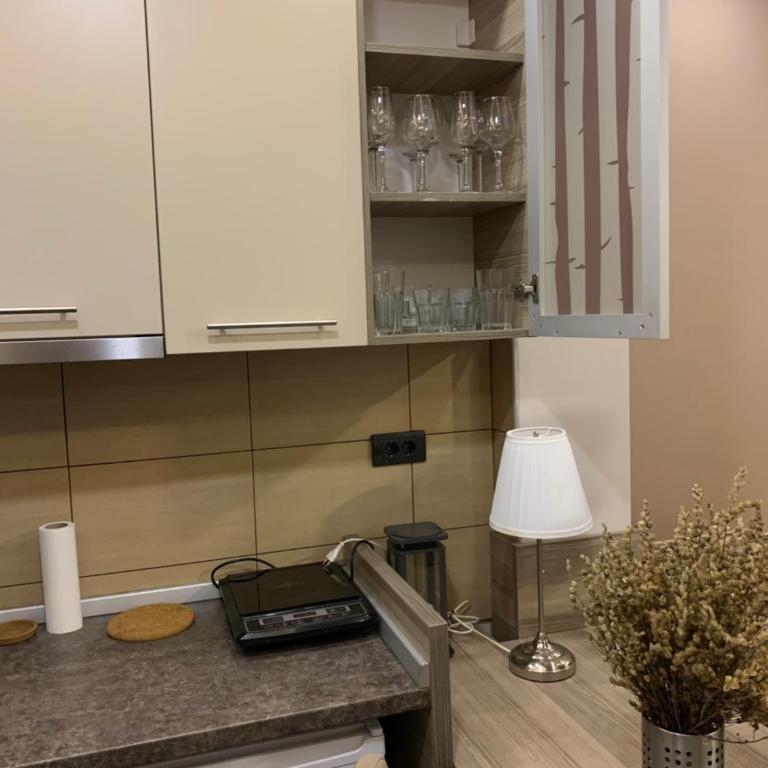 Milmari Mountain view - I11 - One-Bedroom Apartment - 14