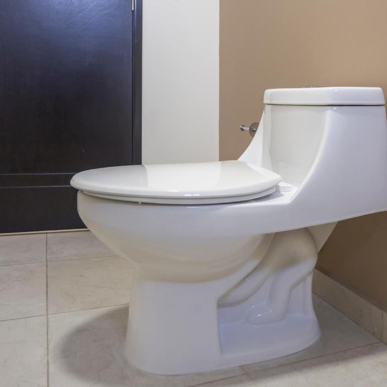 Smart Hotel Monterrey - Standard Two Beds - 10