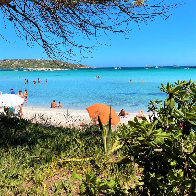 Villa Coconing à 7min des plages - Piscine chauffée - Clim - BBQ - Parking privatif - Fibre - Villa - 41