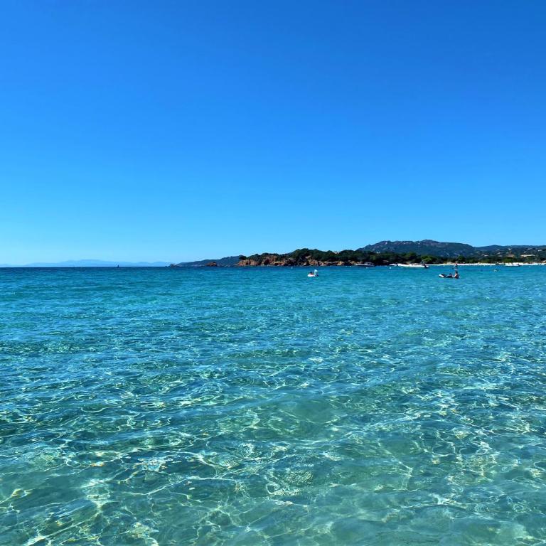 Villa Coconing à 7min des plages - Piscine chauffée - Clim - BBQ - Parking privatif - Fibre - Villa - 42