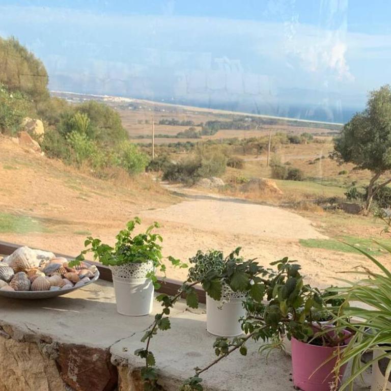 NATURAL DREAM APARTMENT BLUE WIFI - Apartamento de 1 dormitorio - 20