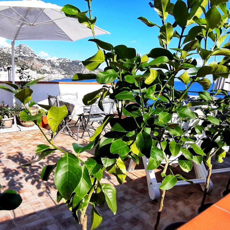 Panoramic Terrace Room - Appartamento con 1 Camera da Letto - 3